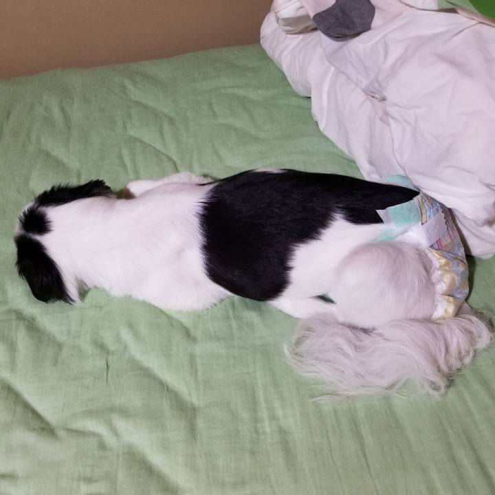 574ed4ce 2650 4aa0 886a 39602b4b8021 1599481798159