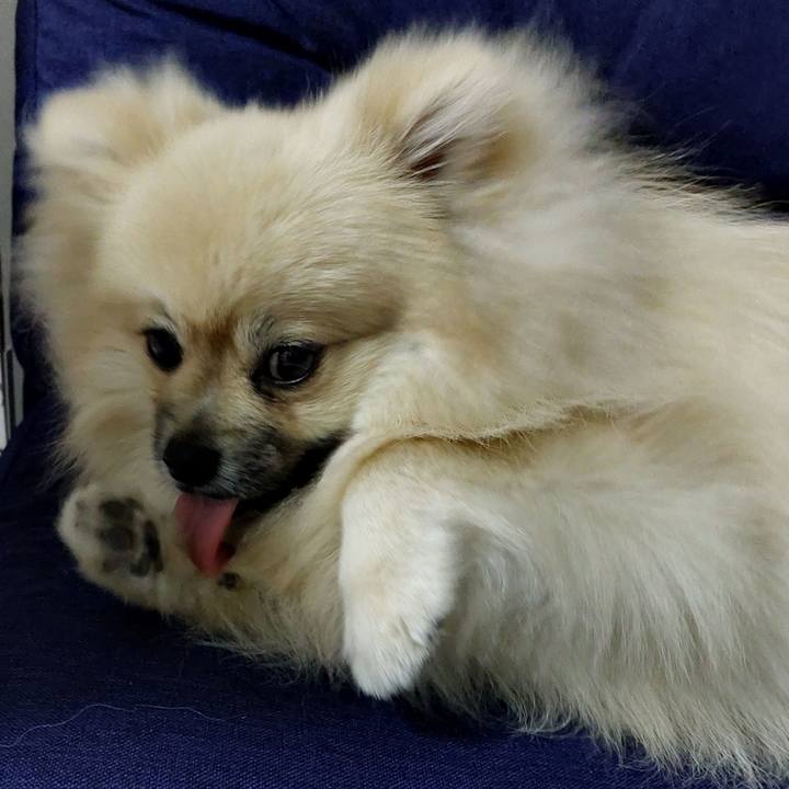 574f3110 d73f 4c24 9858 72ae319777b4 1647062034451