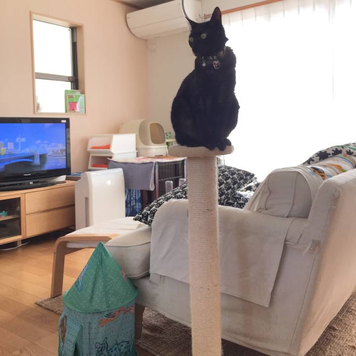 574f5b49 2f14 4b3c aa9f 07c995ab6c69 1520035210909