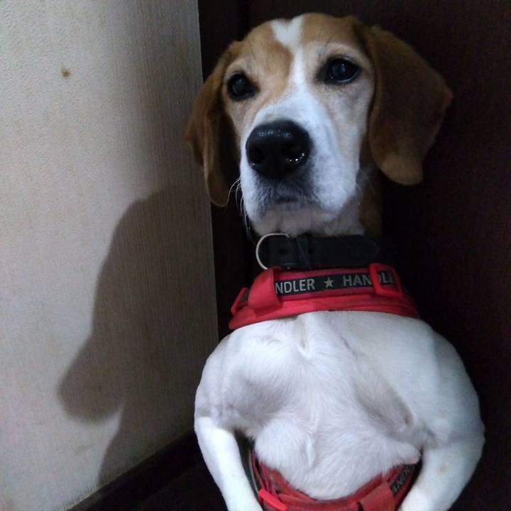 574f6494 fafb 4175 9250 d627ce2b645b 1707815297668