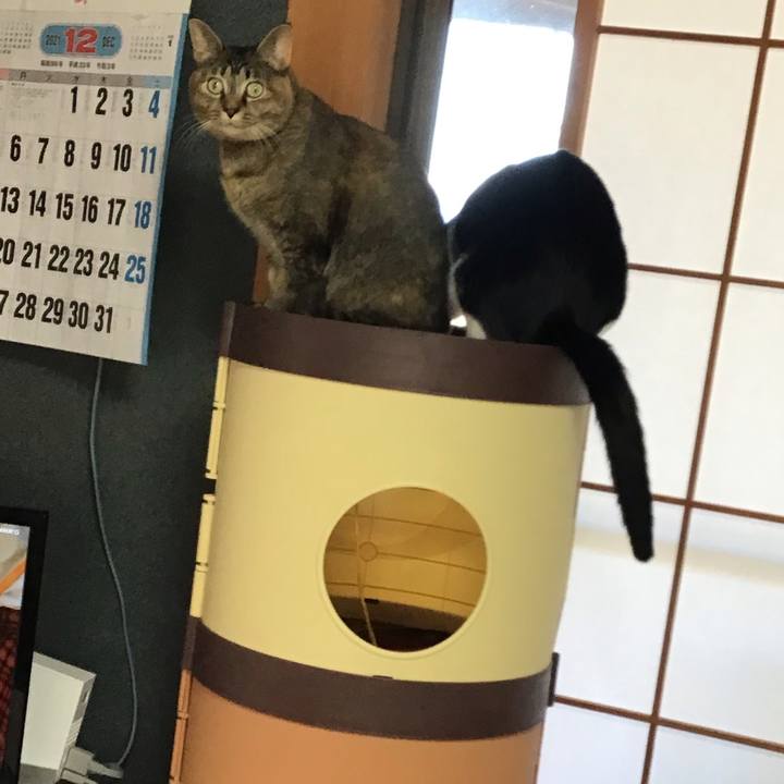 574f672b b1de 4223 8342 766a66c542b7 1638408226361