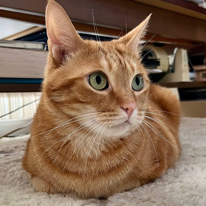 574f8919 8cec 45e8 aa3c 9361dccdd536 1693266514881