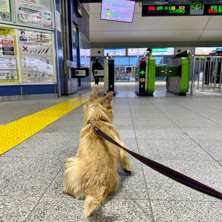 574fb573 66f7 4c08 b4f2 20be74bb68d6 1730166909215