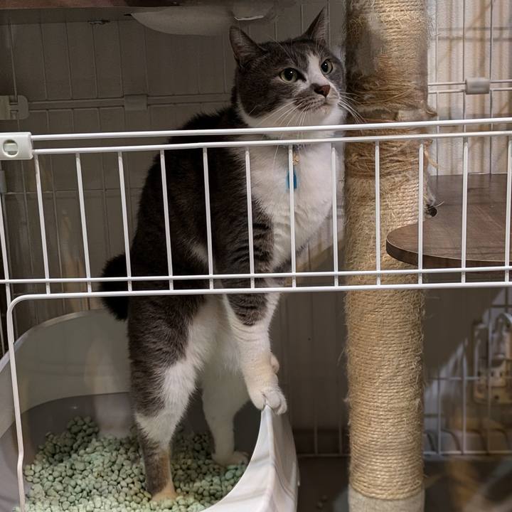 574fd0e2 c50e 4927 a570 2dad891b1ff6 1727700982726