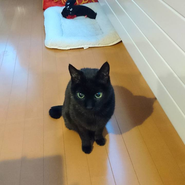 574fdc93 a0e1 4539 9e59 88f61c87226c 1550959407821