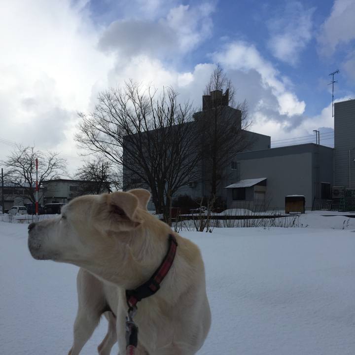 574fee58 e8c1 4ce1 b792 ee7b84eef290 1514942296074