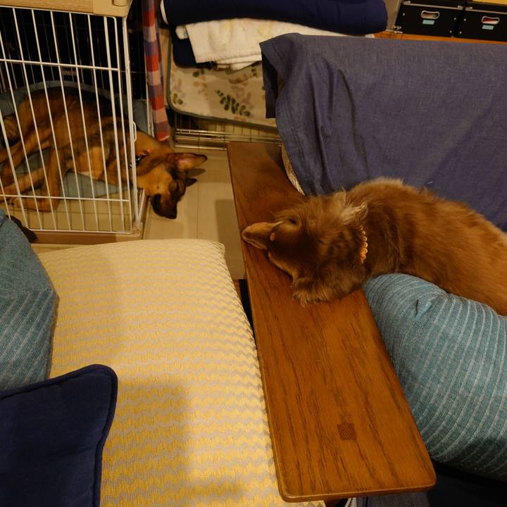 575010e5 96de 4431 ac0d d256e9036302 1693998287862