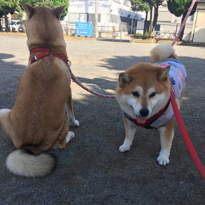 575021cc f181 4332 8117 9a222f240e02 1596329057460