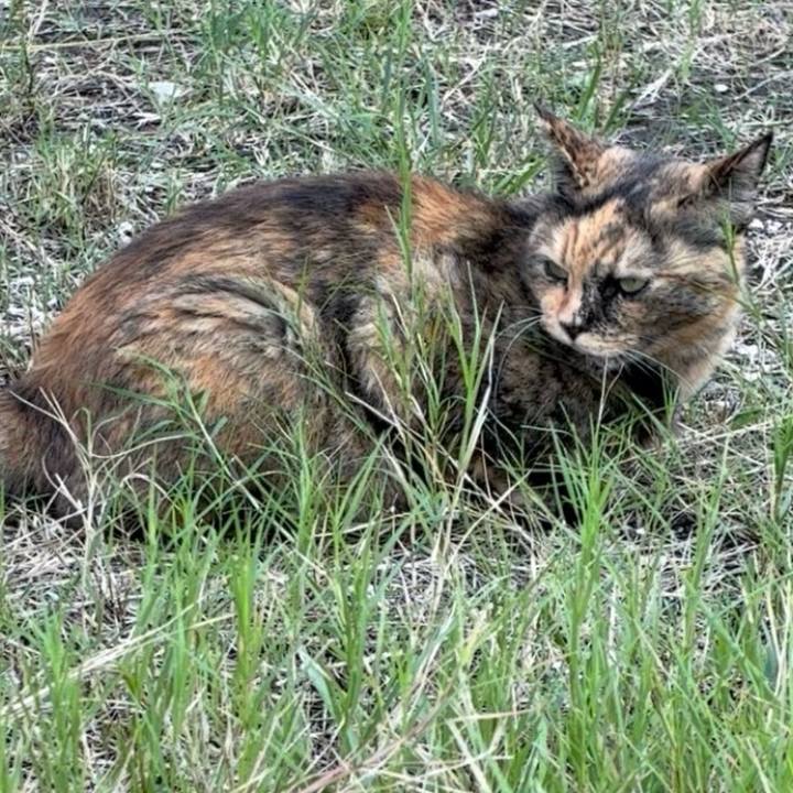 5750f1d9 4701 48e6 934b 879f817b2f84 1760254025015