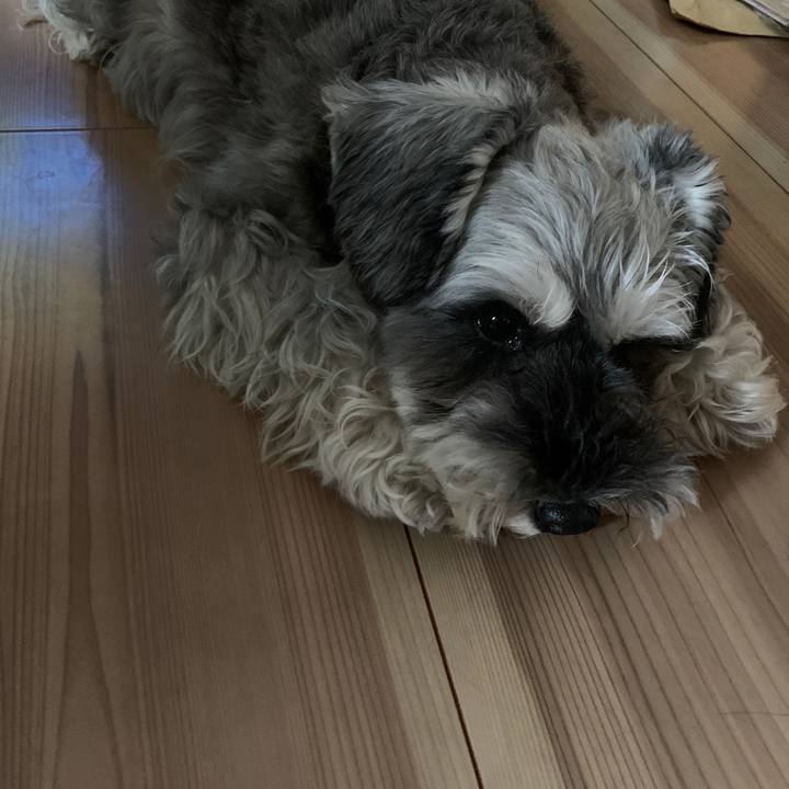 5750f6c8 38bc 4ea1 94bf f24360b662b9 1600741622004