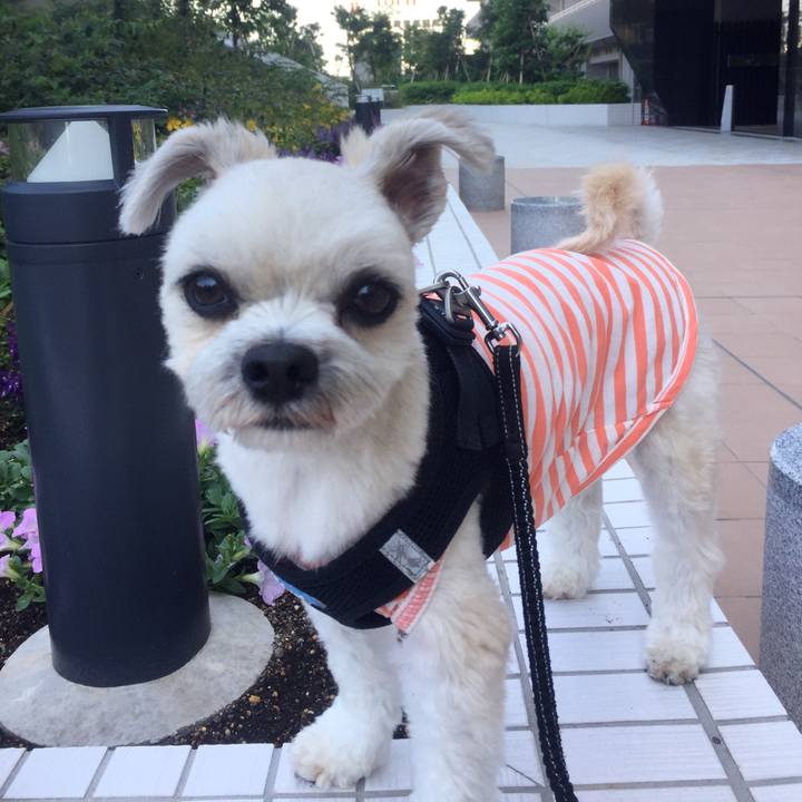 57511917 8b76 41e8 a7eb 6ad1b956845b 1528367397806