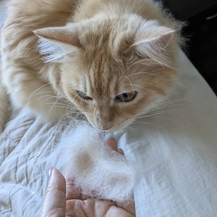 57511f1b 7bb5 4d70 ba8c e99fff2c84bd 1754619024118