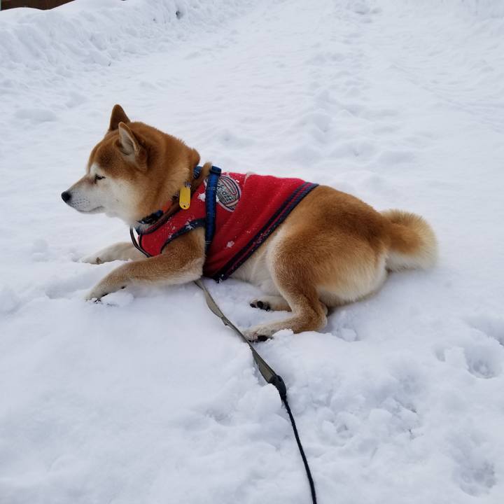 57513307 14de 4867 be6e 79b4c5352f37 1547783806303