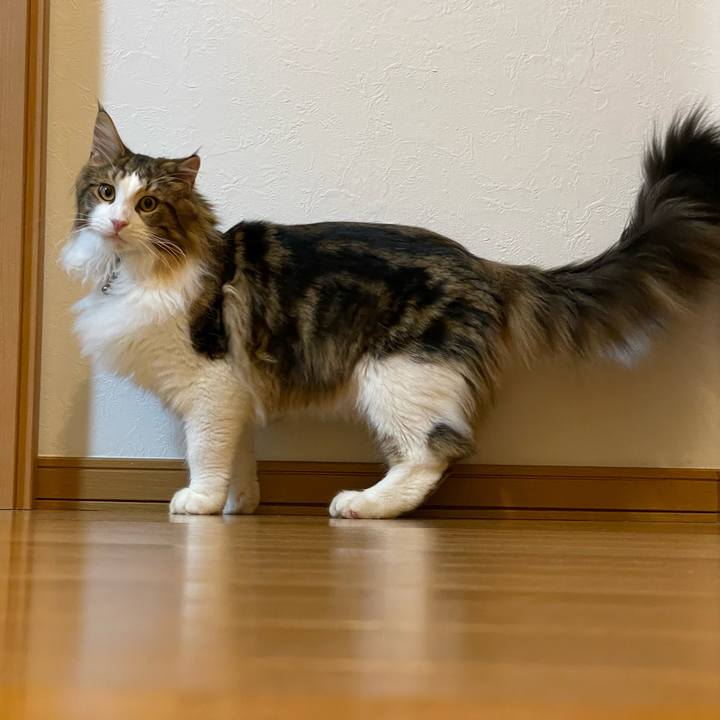 57518014 590f 497d a25c d49b4a9f08b0 1642685734247