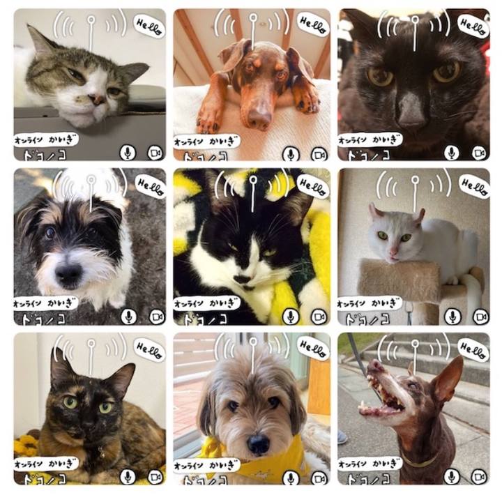 5751c24a 7e2f 48b1 9b7f b41148b5790e 1593525105873