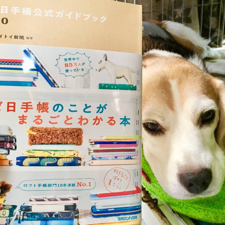 5751c8a9 7928 4502 89af 2cd1d0540dd7 1566028461194