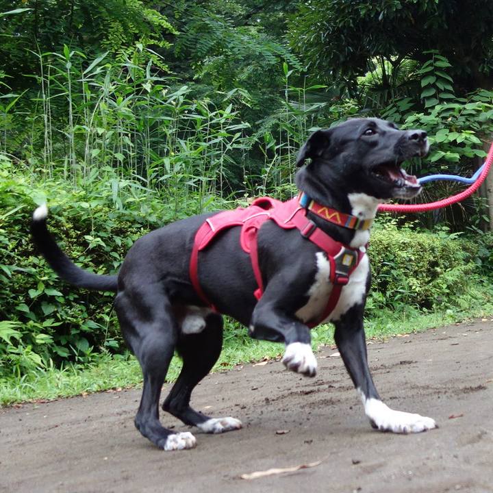 5751e5bd 27bd 4ef7 acbe fb73f8aeca97 1592955205988