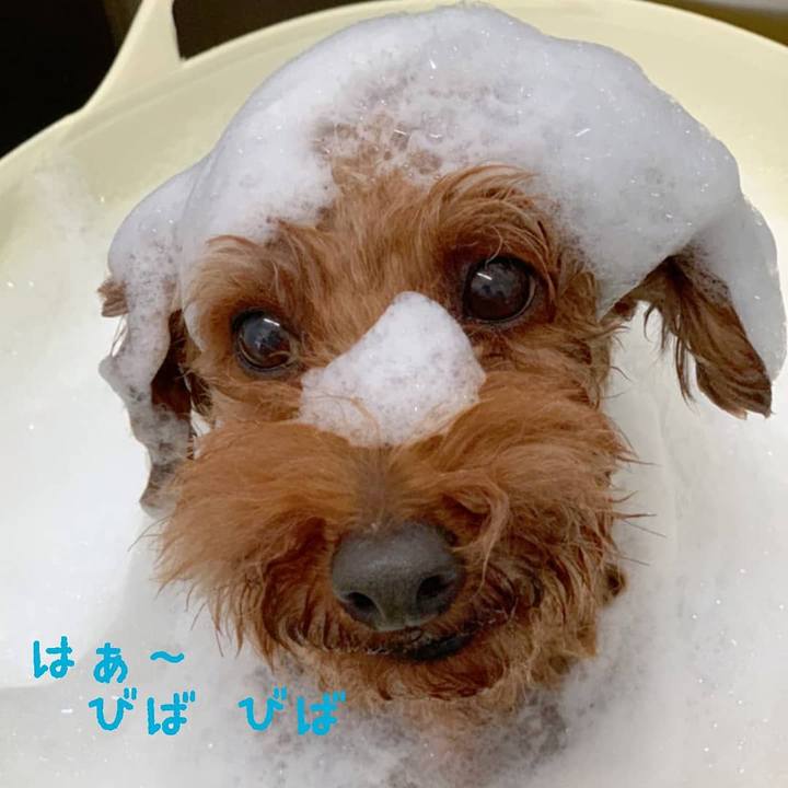 5751e8f5 3e15 4edb a30b 7ea79a4ee52a 1597498369565