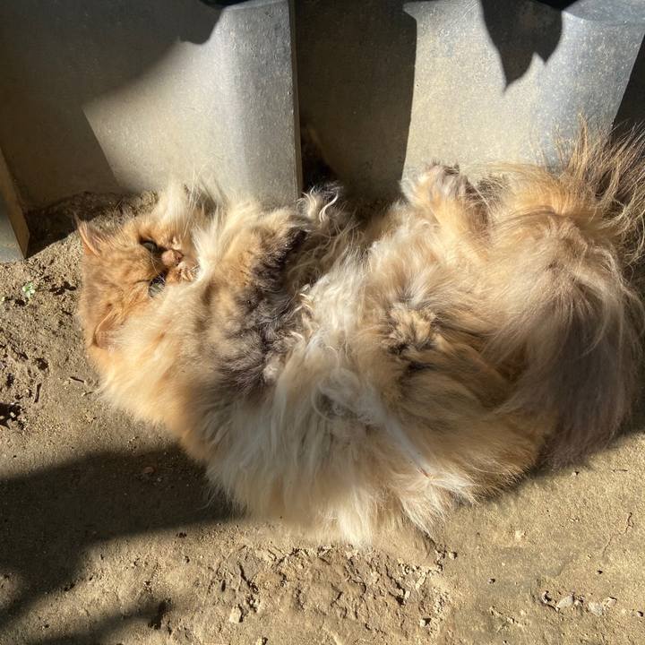 5751e9ce df0d 4df9 ac27 136ce1315b4f 1605314640270