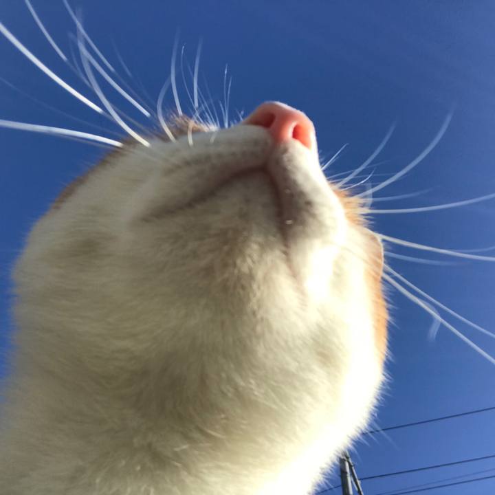 5751f78f ca94 4d73 95c7 d4bbdcd7f406 1514768244016