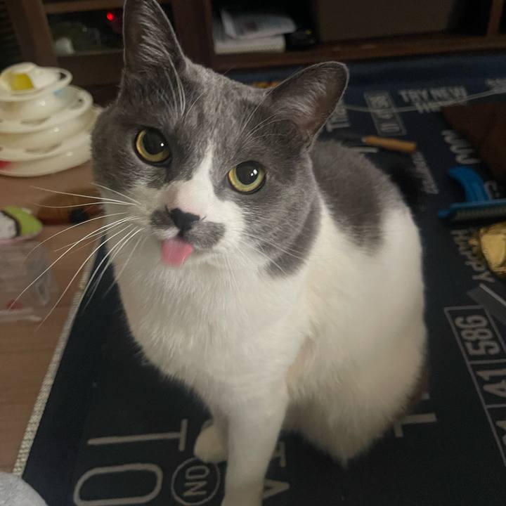 5751f911 aeb6 4d16 b001 bbd07c917538 1703989247069