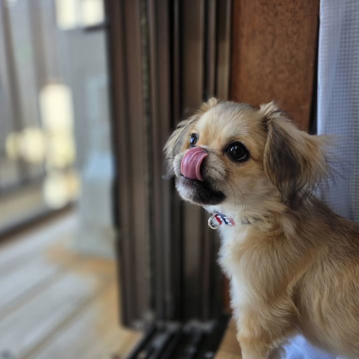 57520509 2a71 4d20 8fdb fec63bfaf1c8 1775187305782