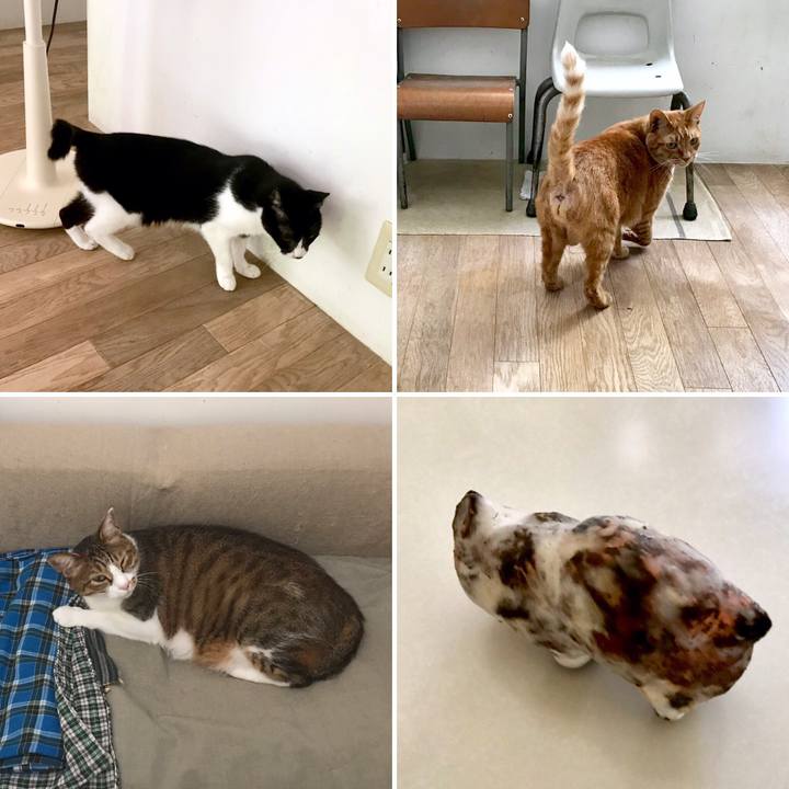 575207b6 c5d4 4169 9262 8da1e9550bd4 1548644026229