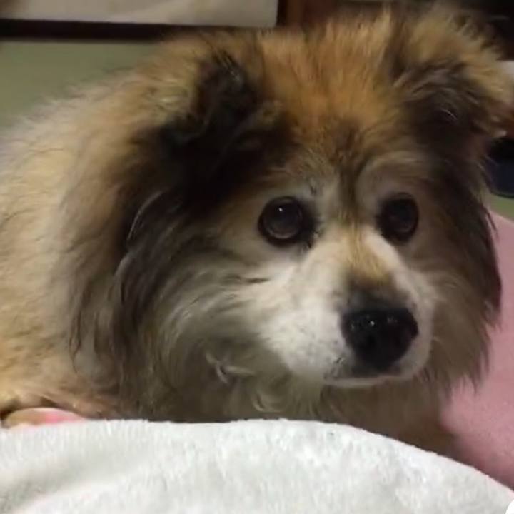 5752226d d7ef 467c 900e 4434d594d404 1569025698738