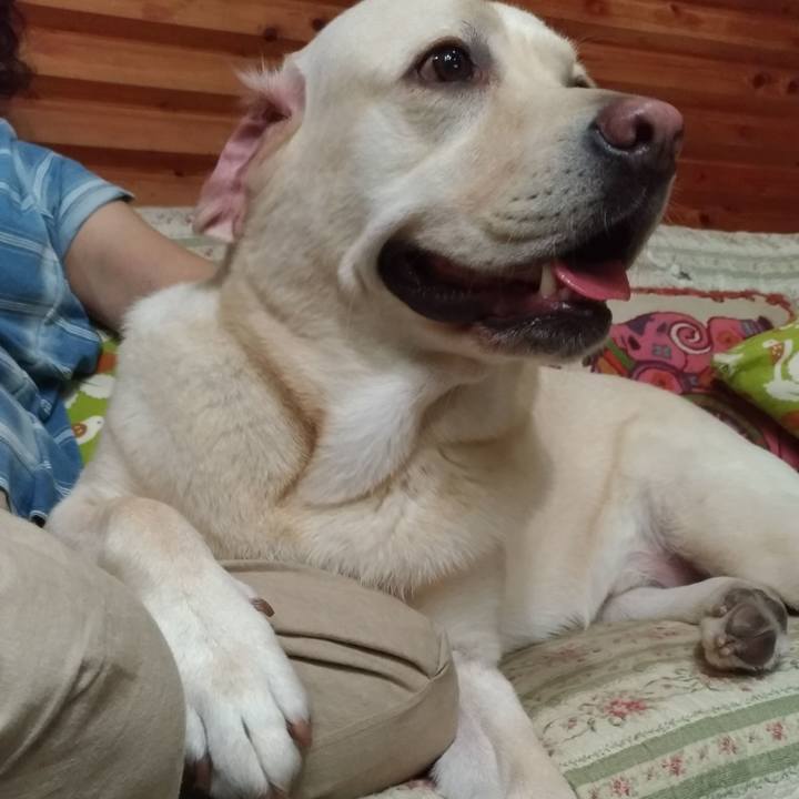 575242ff c90f 449c 9103 c4c3e940f879 1537443896713