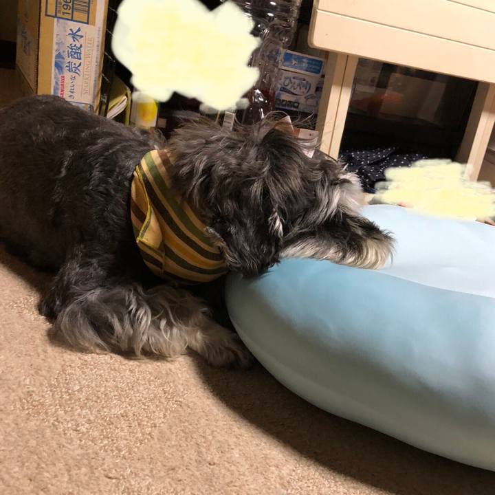 57525402 50a6 47e2 aa63 dcb0f49f84a5 1630221947371