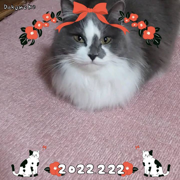 57525e9d 3d9e 4fd3 9f76 189ba081c64f 1645529960035