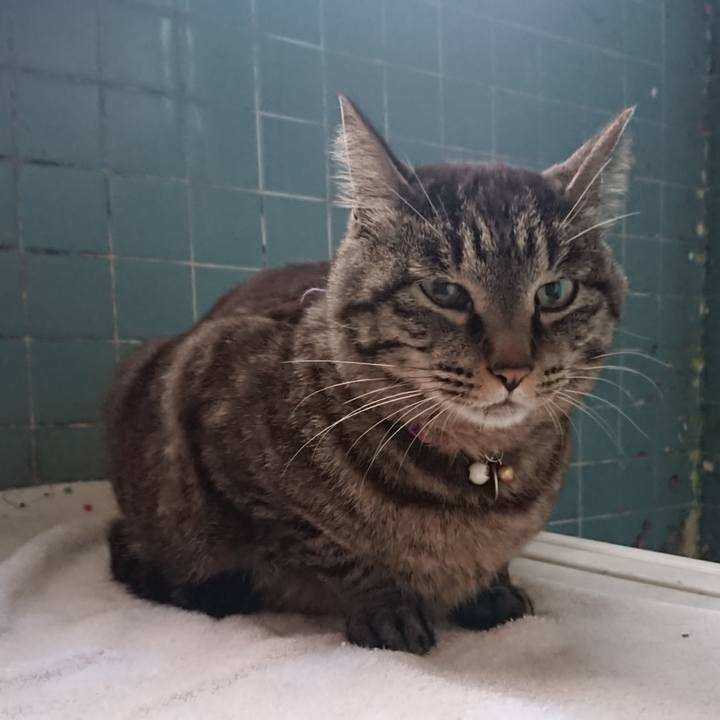 57526d28 c5b7 429f b066 9c44cf436ef8 1653731753210