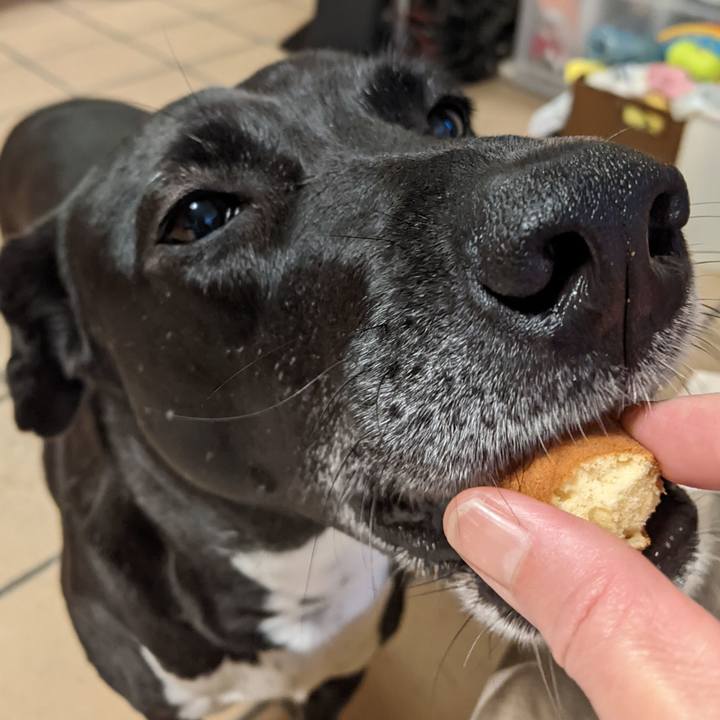 57532f0d 1f7b 42f8 a15e 1a7290435ec0 1651403299756