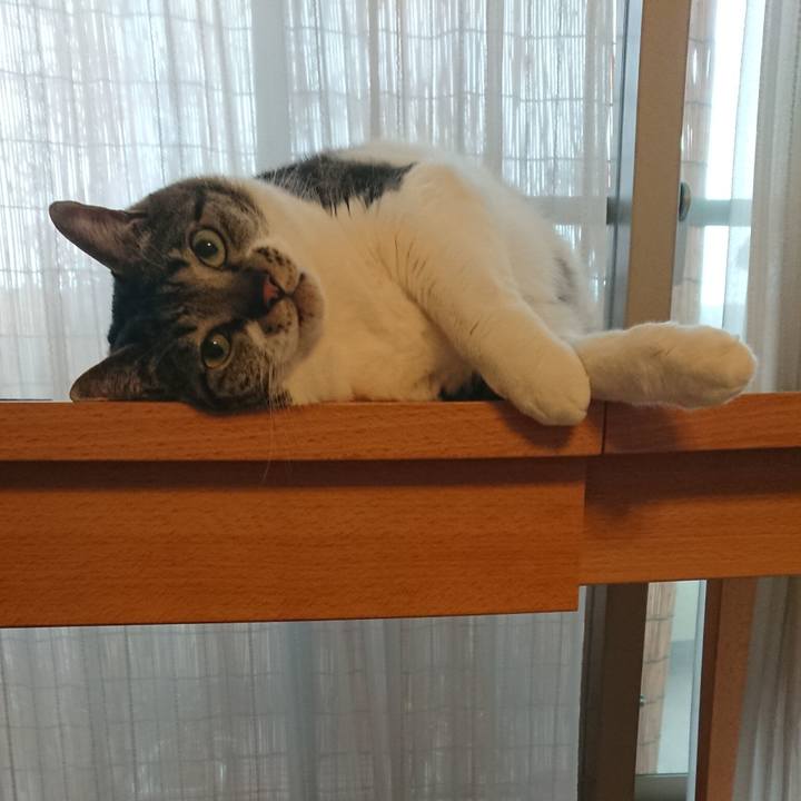 57533cf4 d35d 4b65 bde2 f9f5622e0521 1564024941256