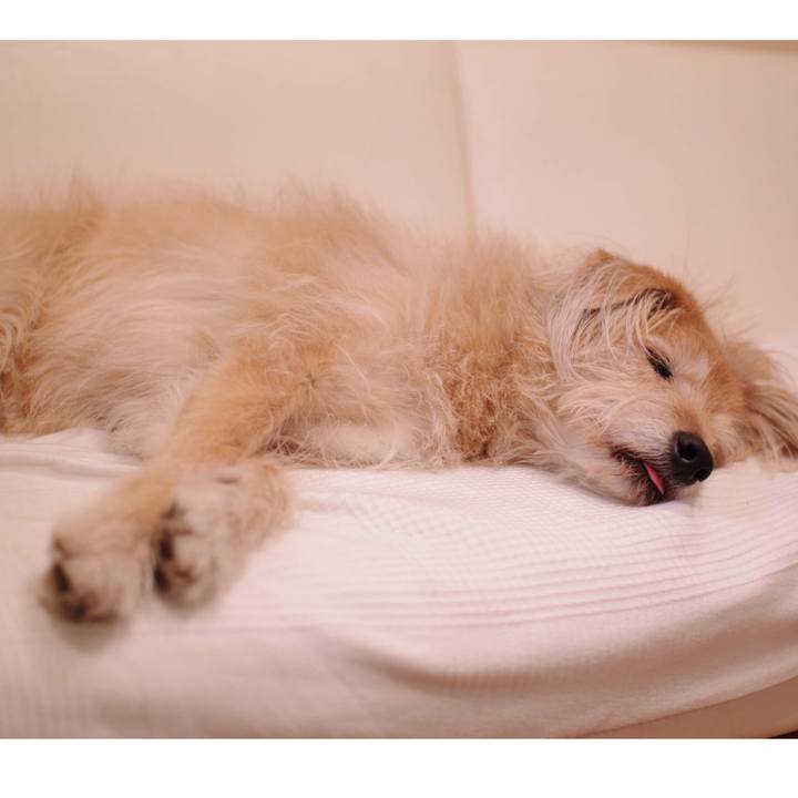 57537085 969d 42ed b114 04199c273580 1548144209380