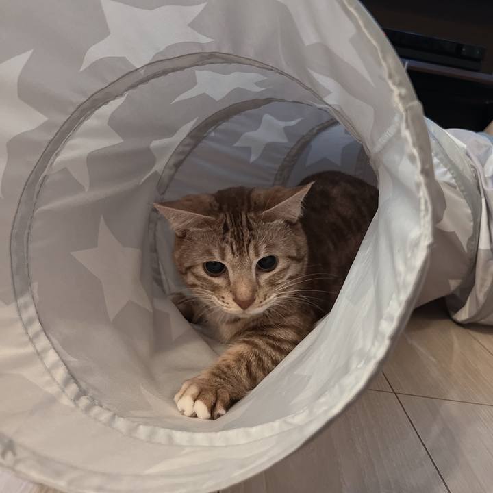 575380fd d36f 4733 87c9 9400694bbc13 1662729467842