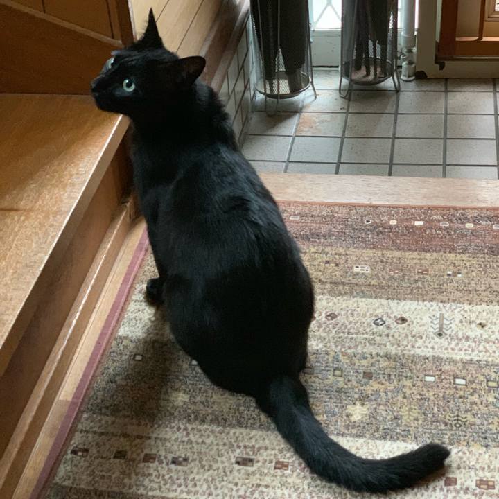 5753828f a2fe 4880 9d70 8eb91bb91069 1561942321466