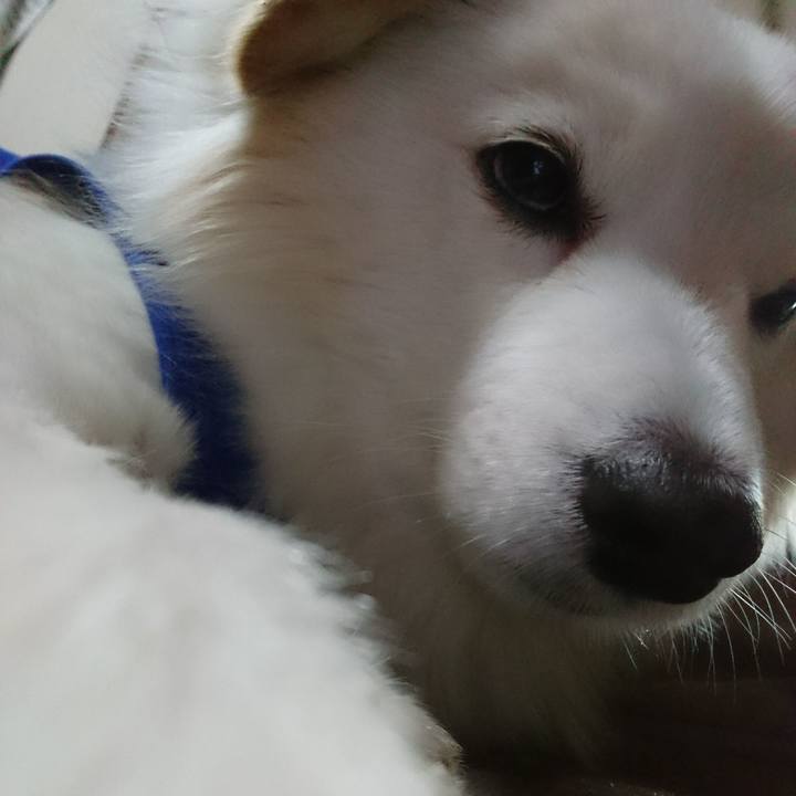 57538c2a 6acf 4e94 ba15 eda1bc4a6e4e 1519247007465