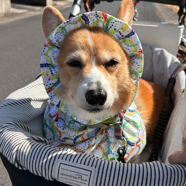 5753ff97 3f86 4727 a45e f91f3d8b6af3 1772676646714