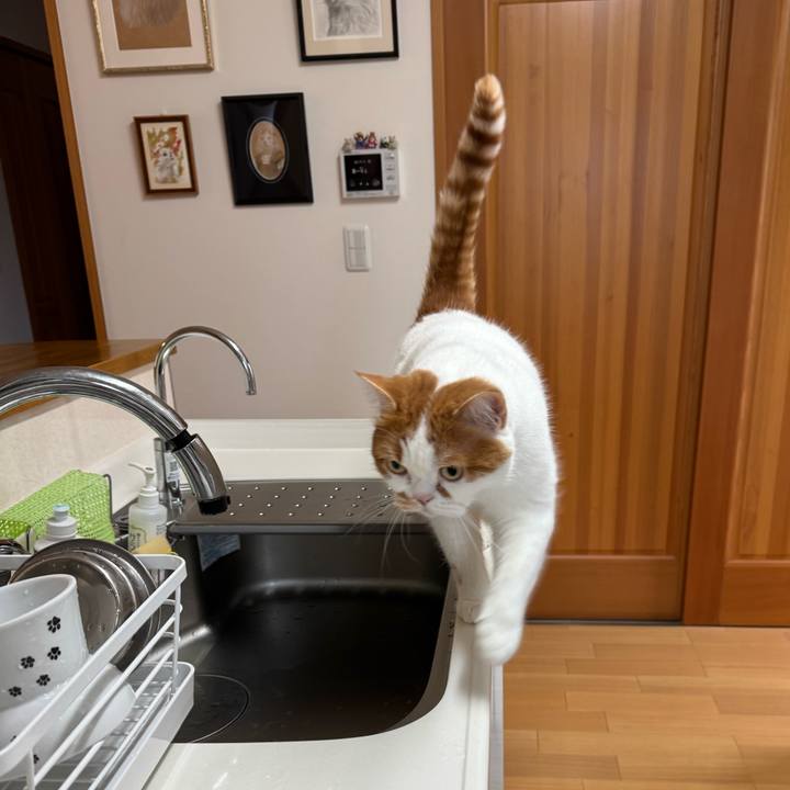 5754008b 2eca 4b4a b379 4ef1cb843b60 1766287521566