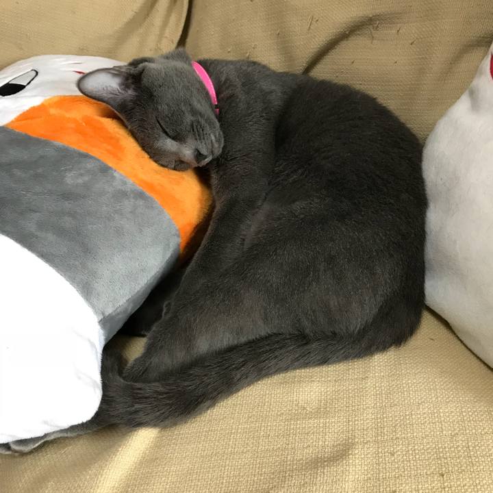 5754142f 899c 47a1 8e4a 3c0137edb455 1522904710679