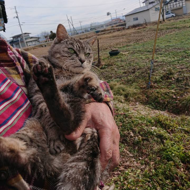 575457c3 0875 48b0 b160 d6f266445ea1 1578798343240