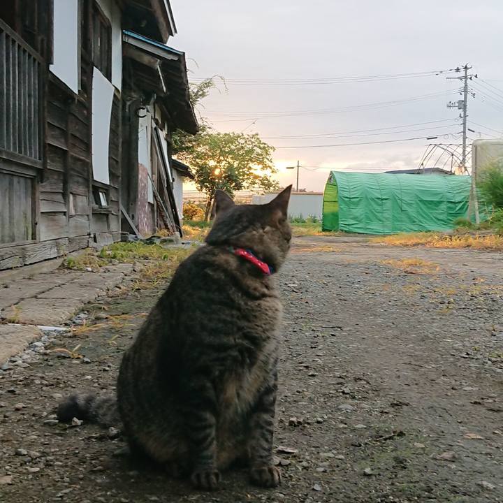 575481a6 d2ae 427c bd12 ebf28fbec8cd 1662152500707