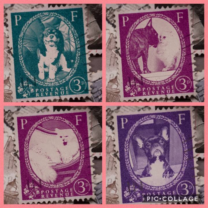 57548c97 0588 4356 a366 8797b89fed42 1569859399566