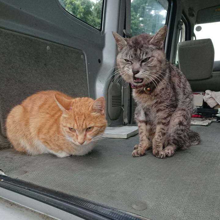 57549aa3 a205 426b a64e 49998521b2bd 1593809812368