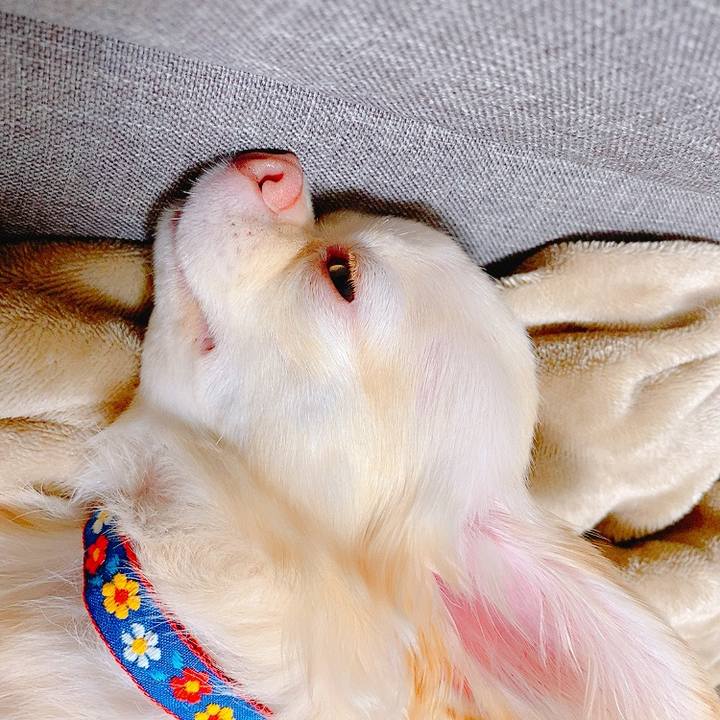 5754ba84 5087 4995 97a7 86a4724791d1 1631242868285