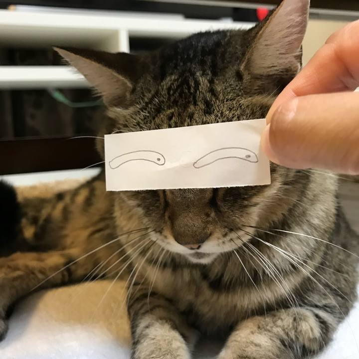 5754c566 354c 4dfd 9fd1 7eeb6ba8a0e6 1590968613001