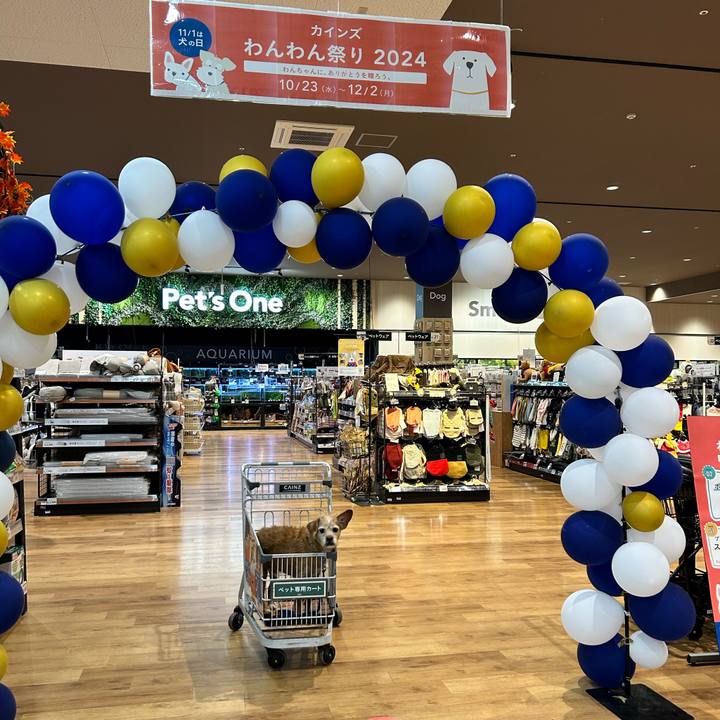 5754cace 1905 442e a690 38102794a88f 1730815460652