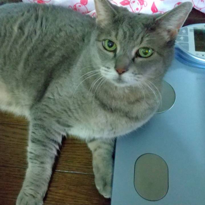 5754fd43 f30e 4ca3 aa95 ef16f9dbd343 1599446230747