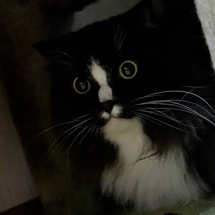 575546e2 74a6 4a75 a931 79299a590ca5 1755758221426